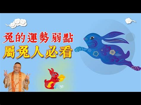 兔相合生肖|生肖配對｜屬兔12生肖夫妻配對表！最佳姻緣及相沖排